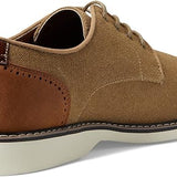 Delvey Oxford Shoe (Steve Madden)