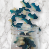 Gummy Sharks (Mountain Man)