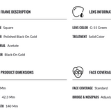 Clubmaster Classic Sunglasses (Ray-Ban)