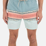 Phantom Naturals Cannonball 17" Boardshort (Hurley)