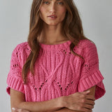 Crochet Knit Short Sleeve Sweater