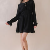 Ruffles & Bows Woven Mini Dress