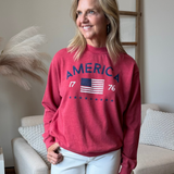 America Mineral Washed Sweatshirt