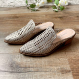 Mayflower Mule