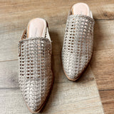 Mayflower Mule