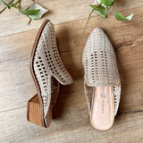 Mayflower Mule