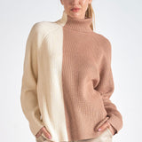 Colorblock Turtle Neck Sweater