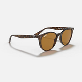 RAY-BAN RB4305 Sunglasses (Light Havana w/ Brown)
