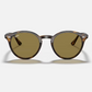 RAY-BAN RB2180 Sunglasses (Light Havana w/ Dark Brown)