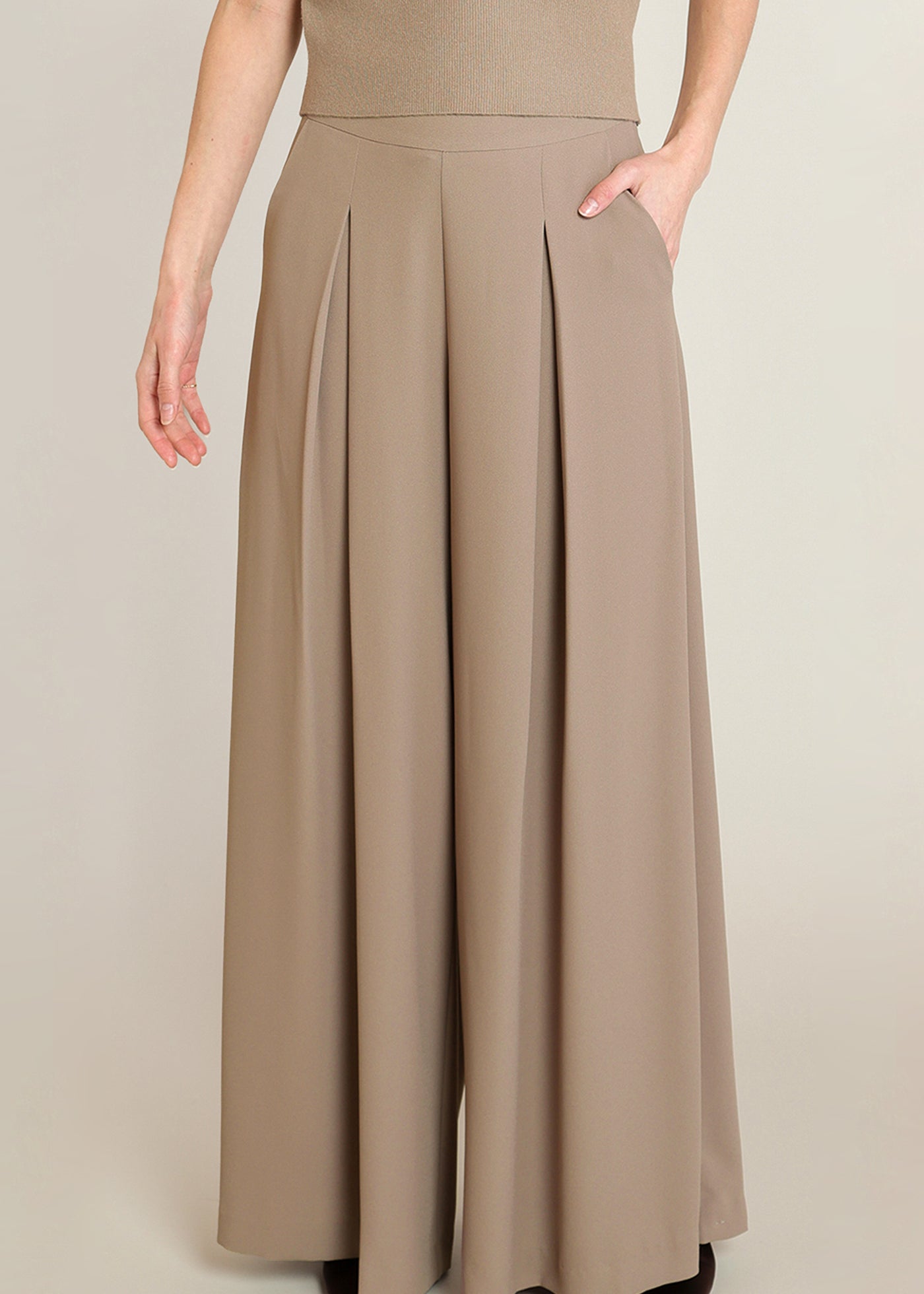High Waisted Pleat Pant (Dex)