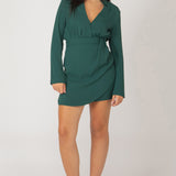 Long Sleeve Collared Mini Dress (Dex)