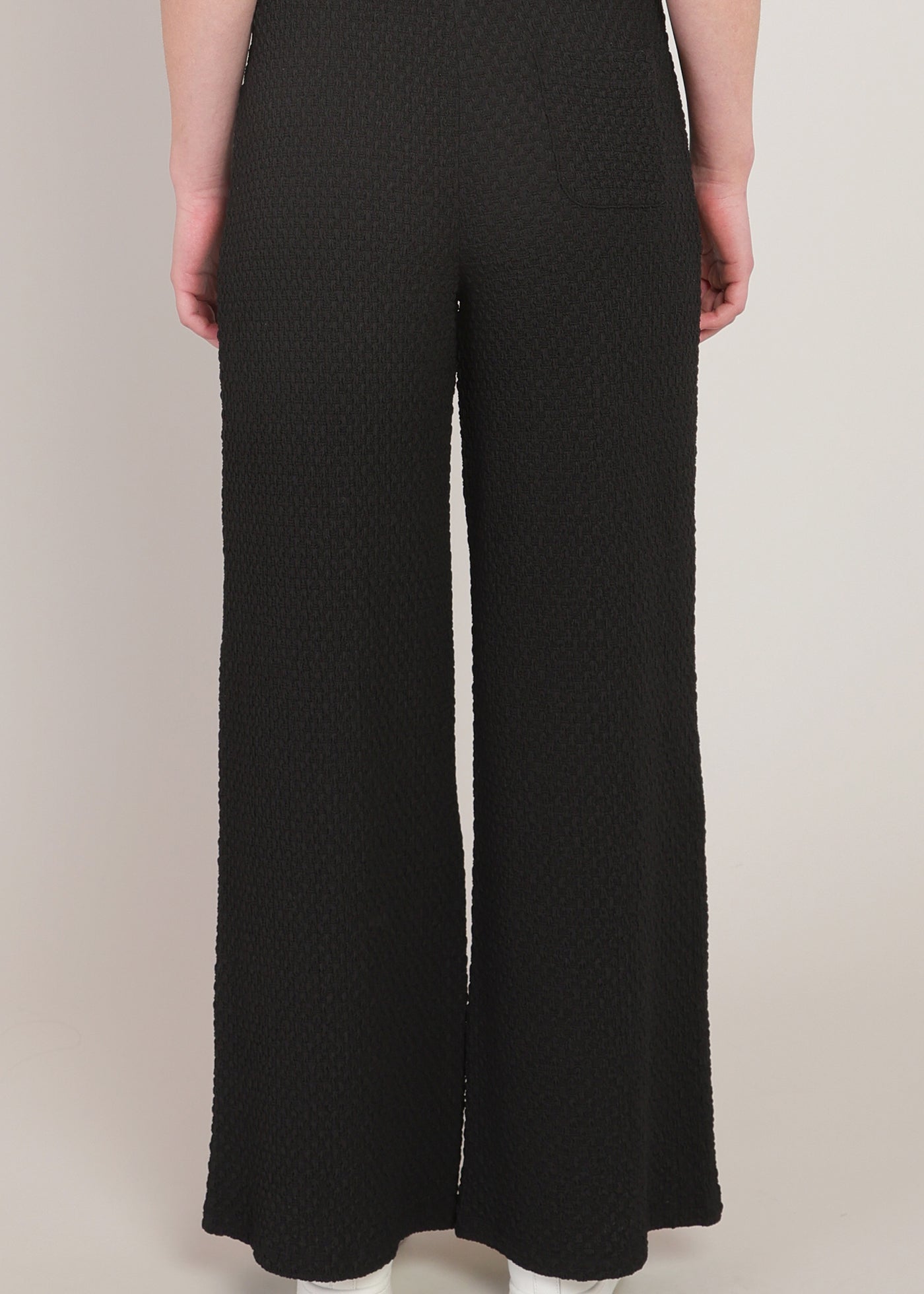Textured Wide Leg Pant (Room 34 by Dex)