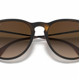 RAY-BAN Women's Erika Classic Sunglasses (Havana/Brown Gradient)