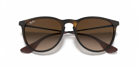 RAY-BAN Women's Erika Classic Sunglasses (Havana/Brown Gradient)
