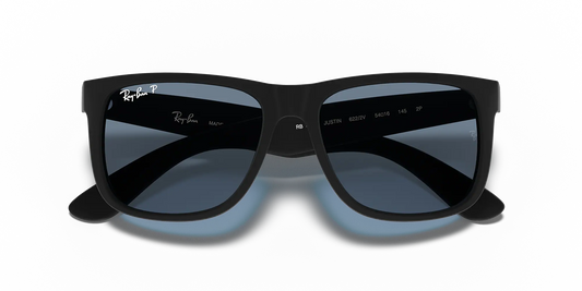 RAY-BAN Men's Justin Rubber Sunglasses (Rubber Black/Dark Blue)