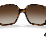 RAY-BAN Unisex Powderhorn Sunglasses (Havana/Brown Gradient)