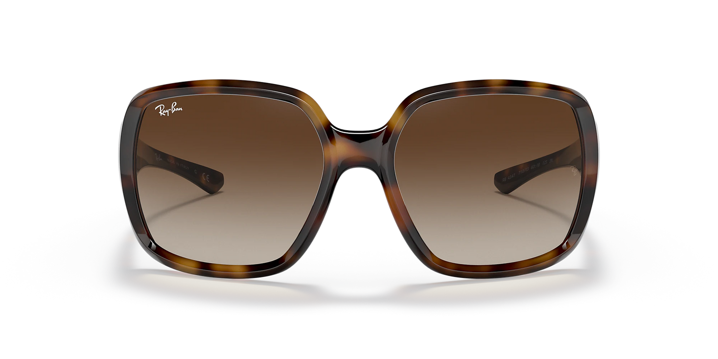 RAY-BAN Unisex Powderhorn Sunglasses (Havana/Brown Gradient)
